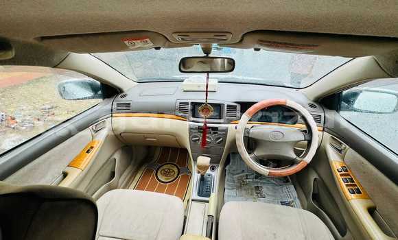 Buy Used 2009 Toyota corolla x fielder in Dhaka, Dhaka Buy Used 2009 Toyota corolla x fielder in Dhaka, Dhaka