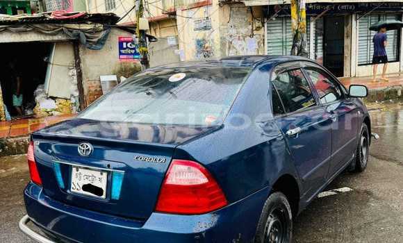 Buy Used 2004 Toyota X corolla in Bajitpur, Kishorganj Buy Used 2004 Toyota X corolla in Bajitpur, Kishorganj