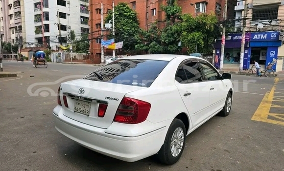 কেনা ব্যবহৃত Toyota Axio White গাড়ী মধ্যে বাজিতপুর মধ্যে Kishorganj কেনা ব্যবহৃত Toyota Axio White গাড়ী মধ্যে বাজিতপুর মধ্যে Kishorganj