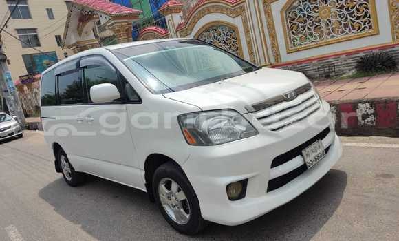 কেনা ব্যবহৃত Toyota Noah White গাড়ী মধ্যে ঢাকা মধ্যে Dhaka কেনা ব্যবহৃত Toyota Noah White গাড়ী মধ্যে ঢাকা মধ্যে Dhaka