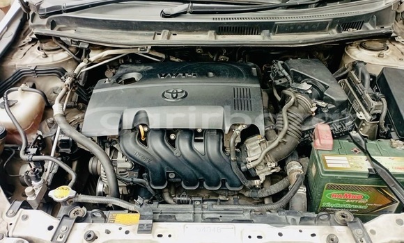 কিনুন ব্যবহৃত Toyota গাড়ী কিনুন ব্যবহৃত Toyota গাড়ী