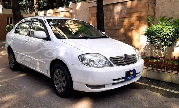 Buy Used 2004 Toyota corolla x in Dhaka, Dhaka Buy Used 2004 Toyota corolla x in Dhaka, Dhaka
