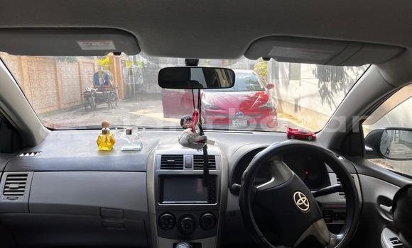 কেনা ব্যবহৃত Toyota Axio Blue গাড়ী মধ্যে ঢাকা মধ্যে Dhaka কেনা ব্যবহৃত Toyota Axio Blue গাড়ী মধ্যে ঢাকা মধ্যে Dhaka