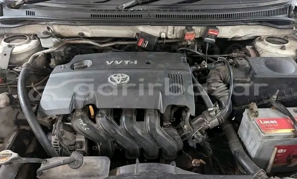 কেনা ব্যবহৃত Toyota Corolla White গাড়ী মধ্যে বান্দরবান মধ্যে Bandarban কেনা ব্যবহৃত Toyota Corolla White গাড়ী মধ্যে বান্দরবান মধ্যে Bandarban