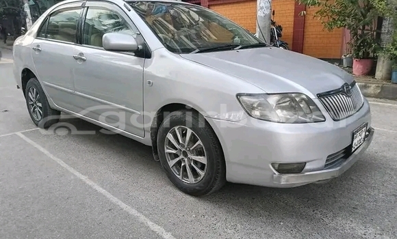 কেনা ব্যবহৃত Toyota Corolla Other গাড়ী মধ্যে বেড়া মধ্যে Pabna কেনা ব্যবহৃত Toyota Corolla Other গাড়ী মধ্যে বেড়া মধ্যে Pabna