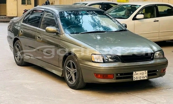 কেনা ব্যবহৃত Toyota Corona Other গাড়ী মধ্যে বাজিতপুর মধ্যে Kishorganj কেনা ব্যবহৃত Toyota Corona Other গাড়ী মধ্যে বাজিতপুর মধ্যে Kishorganj