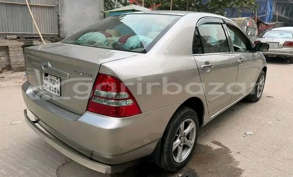 কেনা ব্যবহৃত Toyota Corolla Bronze গাড়ী মধ্যে ভালুকা মধ্যে Maimansingh কেনা ব্যবহৃত Toyota Corolla Bronze গাড়ী মধ্যে ভালুকা মধ্যে Maimansingh