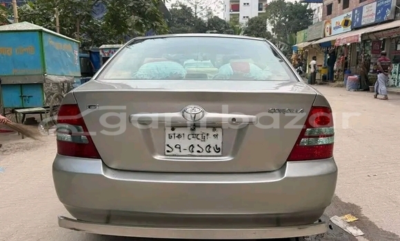 কেনা ব্যবহৃত Toyota Corolla Bronze গাড়ী মধ্যে ভালুকা মধ্যে Maimansingh কেনা ব্যবহৃত Toyota Corolla Bronze গাড়ী মধ্যে ভালুকা মধ্যে Maimansingh