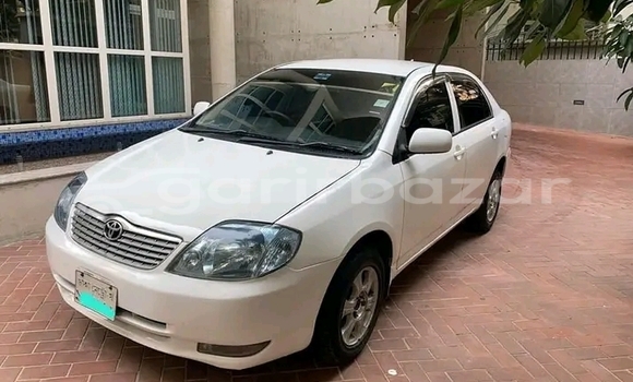 কেনা ব্যবহৃত Toyota Corolla White গাড়ী মধ্যে বান্দরবান মধ্যে Bandarban কেনা ব্যবহৃত Toyota Corolla White গাড়ী মধ্যে বান্দরবান মধ্যে Bandarban