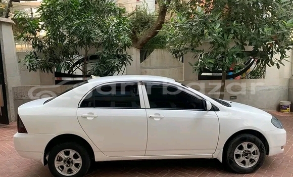 কেনা ব্যবহৃত Toyota Corolla White গাড়ী মধ্যে বান্দরবান মধ্যে Bandarban কেনা ব্যবহৃত Toyota Corolla White গাড়ী মধ্যে বান্দরবান মধ্যে Bandarban