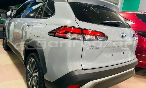 Buy Used Toyota Corolla in Bajitpur, Kishorganj Buy Used Toyota Corolla in Bajitpur, Kishorganj