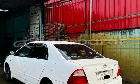 Buy Used Toyota Corolla in Bandarban, Bandarban Buy Used Toyota Corolla in Bandarban, Bandarban