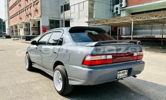 Buy Used Toyota Corolla in Bandarban, Bandarban Buy Used Toyota Corolla in Bandarban, Bandarban