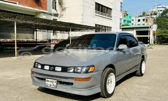 Buy Used Toyota Corolla in Bandarban, Bandarban Buy Used Toyota Corolla in Bandarban, Bandarban