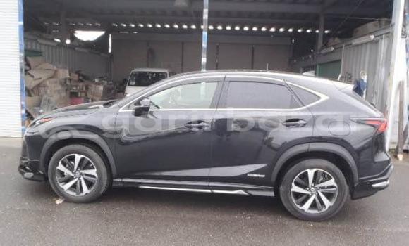 Buy Used 2020 Lexus NX in Dhaka, Dhaka Buy Used 2020 Lexus NX in Dhaka, Dhaka
