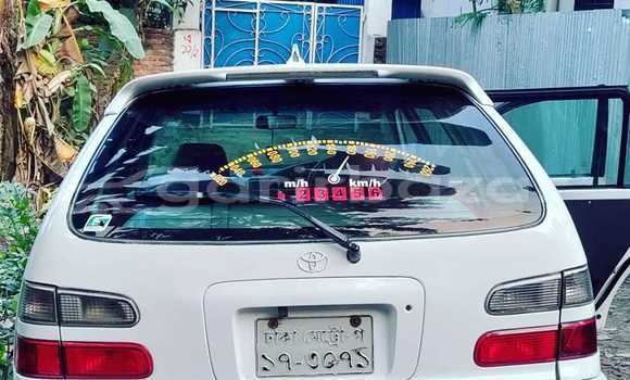 Buy Used Toyota Car Buy Used Toyota Car
