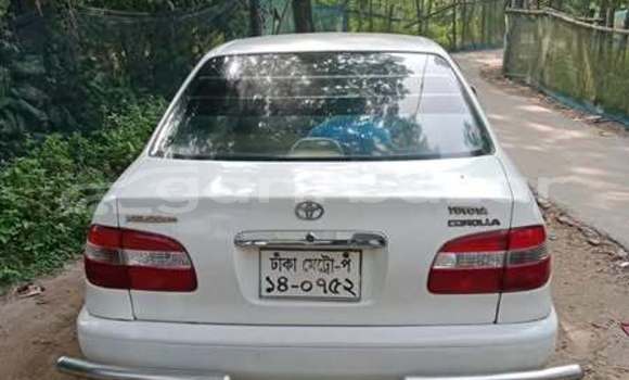 Buy Used Toyota Car Buy Used Toyota Car