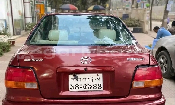 কেনা ব্যবহৃত Toyota Corolla Red গাড়ী মধ্যে বাজিতপুর মধ্যে Kishorganj কেনা ব্যবহৃত Toyota Corolla Red গাড়ী মধ্যে বাজিতপুর মধ্যে Kishorganj