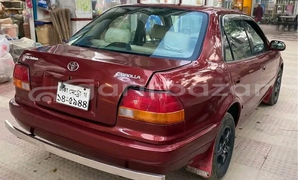 কেনা ব্যবহৃত Toyota Corolla Red গাড়ী মধ্যে বাজিতপুর মধ্যে Kishorganj কেনা ব্যবহৃত Toyota Corolla Red গাড়ী মধ্যে বাজিতপুর মধ্যে Kishorganj