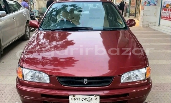 কেনা ব্যবহৃত Toyota Corolla Red গাড়ী মধ্যে বাজিতপুর মধ্যে Kishorganj কেনা ব্যবহৃত Toyota Corolla Red গাড়ী মধ্যে বাজিতপুর মধ্যে Kishorganj