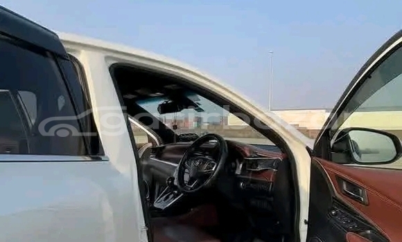 কেনা ব্যবহৃত Toyota Harrier White গাড়ী মধ্যে বাগেরহাট মধ্যে Khulna কেনা ব্যবহৃত Toyota Harrier White গাড়ী মধ্যে বাগেরহাট মধ্যে Khulna