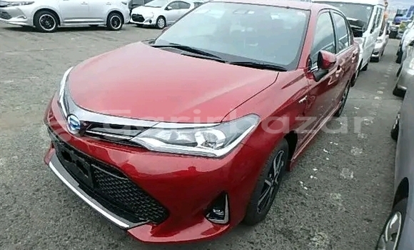 কেনা ব্যবহৃত Toyota Axio Red গাড়ী মধ্যে বান্দরবান মধ্যে Bandarban কেনা ব্যবহৃত Toyota Axio Red গাড়ী মধ্যে বান্দরবান মধ্যে Bandarban
