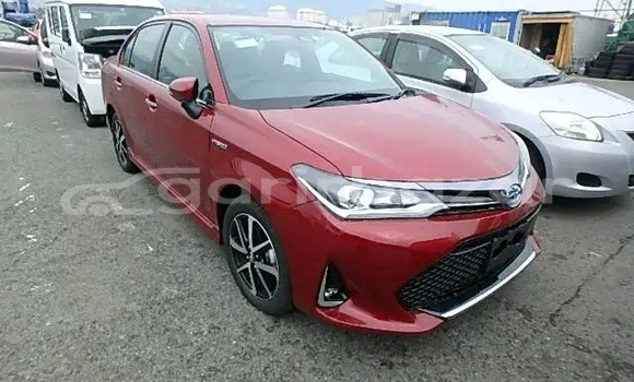 কেনা ব্যবহৃত Toyota Axio Red গাড়ী মধ্যে বান্দরবান মধ্যে Bandarban কেনা ব্যবহৃত Toyota Axio Red গাড়ী মধ্যে বান্দরবান মধ্যে Bandarban