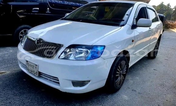 কেনা ব্যবহৃত Toyota Corolla White গাড়ী মধ্যে বান্দরবান মধ্যে Bandarban কেনা ব্যবহৃত Toyota Corolla White গাড়ী মধ্যে বান্দরবান মধ্যে Bandarban