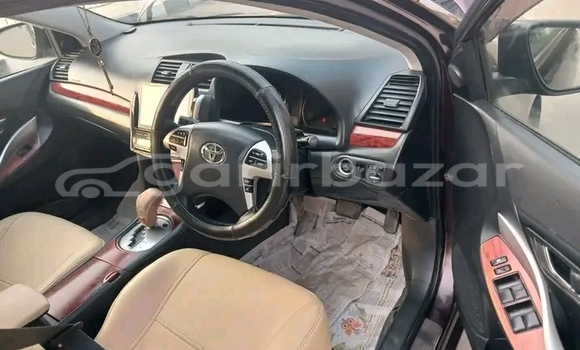 কেনা ব্যবহৃত Toyota premio f ex Red wine গাড়ী মধ্যে বান্দরবান মধ্যে Bandarban কেনা ব্যবহৃত Toyota premio f ex Red wine গাড়ী মধ্যে বান্দরবান মধ্যে Bandarban