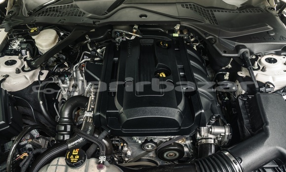 Buy Used 2017 Ford Ford MUSTANG in Dhaka, Dhaka Buy Used 2017 Ford Ford MUSTANG in Dhaka, Dhaka