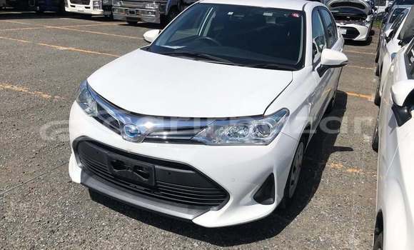 কেনা ব্যবহৃত Toyota Axio White গাড়ী মধ্যে ঢাকা মধ্যে Dhaka কেনা ব্যবহৃত Toyota Axio White গাড়ী মধ্যে ঢাকা মধ্যে Dhaka