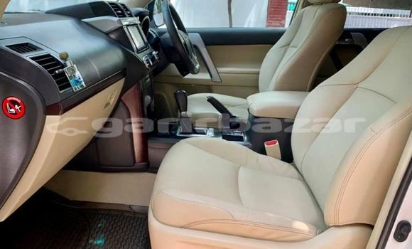 কেনা ব্যবহৃত Toyota Prado White গাড়ী মধ্যে ঢাকা মধ্যে Dhaka কেনা ব্যবহৃত Toyota Prado White গাড়ী মধ্যে ঢাকা মধ্যে Dhaka
