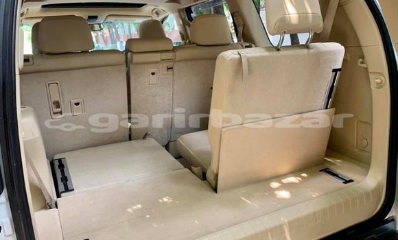 কেনা ব্যবহৃত Toyota Prado White গাড়ী মধ্যে ঢাকা মধ্যে Dhaka কেনা ব্যবহৃত Toyota Prado White গাড়ী মধ্যে ঢাকা মধ্যে Dhaka