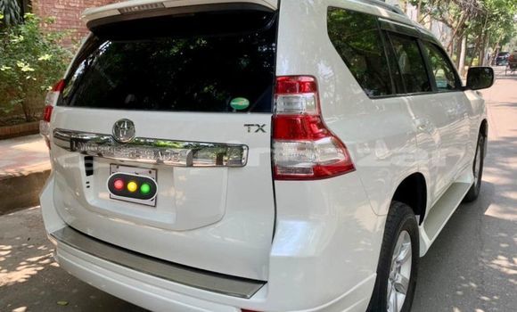 কেনা ব্যবহৃত Toyota Prado White গাড়ী মধ্যে ঢাকা মধ্যে Dhaka কেনা ব্যবহৃত Toyota Prado White গাড়ী মধ্যে ঢাকা মধ্যে Dhaka