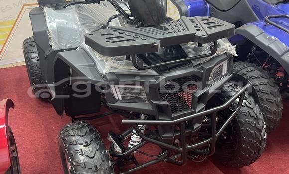 Buy New 2024 Italjet Grifon 900 in Dhaka, Dhaka