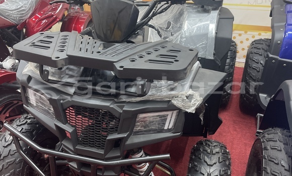 কেনা নতুন Italjet Grifon 900 Brown সাইকেল মধ্যে ঢাকা মধ্যে Dhaka কেনা নতুন Italjet Grifon 900 Brown সাইকেল মধ্যে ঢাকা মধ্যে Dhaka