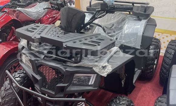 কেনা নতুন Italjet Grifon 900 Brown সাইকেল মধ্যে ঢাকা মধ্যে Dhaka কেনা নতুন Italjet Grifon 900 Brown সাইকেল মধ্যে ঢাকা মধ্যে Dhaka