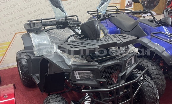 কেনা নতুন Italjet Grifon 900 Brown সাইকেল মধ্যে ঢাকা মধ্যে Dhaka কেনা নতুন Italjet Grifon 900 Brown সাইকেল মধ্যে ঢাকা মধ্যে Dhaka