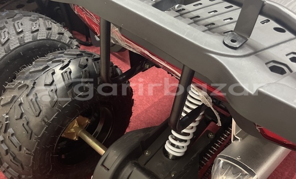 কেনা নতুন Italjet Grifon 900 Brown সাইকেল মধ্যে ঢাকা মধ্যে Dhaka কেনা নতুন Italjet Grifon 900 Brown সাইকেল মধ্যে ঢাকা মধ্যে Dhaka