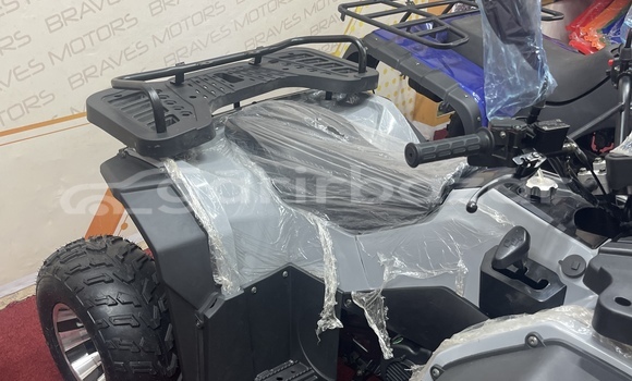 কেনা নতুন Italjet Grifon 900 Brown সাইকেল মধ্যে ঢাকা মধ্যে Dhaka কেনা নতুন Italjet Grifon 900 Brown সাইকেল মধ্যে ঢাকা মধ্যে Dhaka