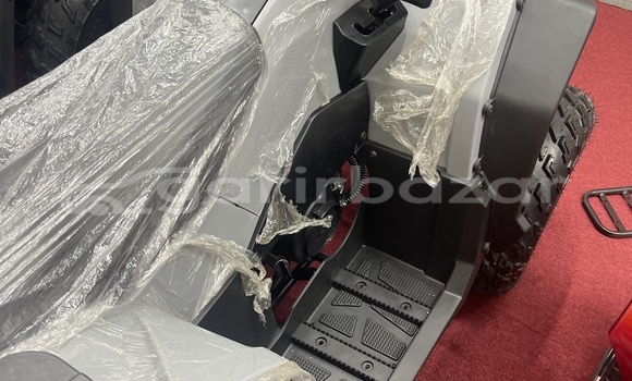 কেনা নতুন Italjet Grifon 900 Brown সাইকেল মধ্যে ঢাকা মধ্যে Dhaka কেনা নতুন Italjet Grifon 900 Brown সাইকেল মধ্যে ঢাকা মধ্যে Dhaka