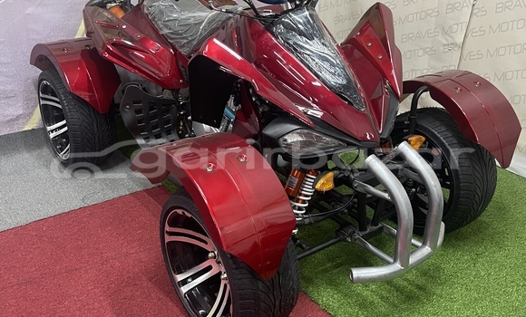 কেনা নতুন Ebr Motorcycles BLACK LIGHTING Black সাইকেল মধ্যে ঢাকা মধ্যে Dhaka কেনা নতুন Ebr Motorcycles BLACK LIGHTING Black সাইকেল মধ্যে ঢাকা মধ্যে Dhaka