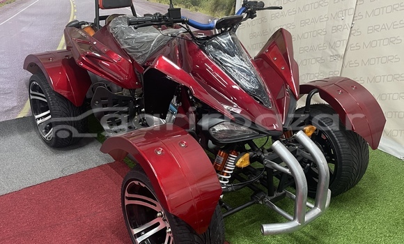 কেনা নতুন Ebr Motorcycles BLACK LIGHTING Black সাইকেল মধ্যে ঢাকা মধ্যে Dhaka কেনা নতুন Ebr Motorcycles BLACK LIGHTING Black সাইকেল মধ্যে ঢাকা মধ্যে Dhaka