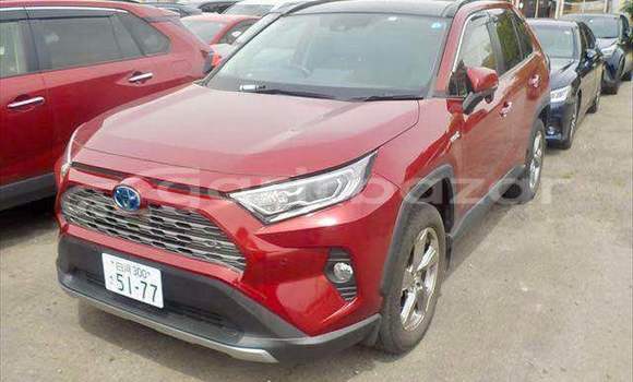 কেনা ব্যবহৃত Toyota RAV4 Red গাড়ী মধ্যে ঢাকা মধ্যে Dhaka কেনা ব্যবহৃত Toyota RAV4 Red গাড়ী মধ্যে ঢাকা মধ্যে Dhaka