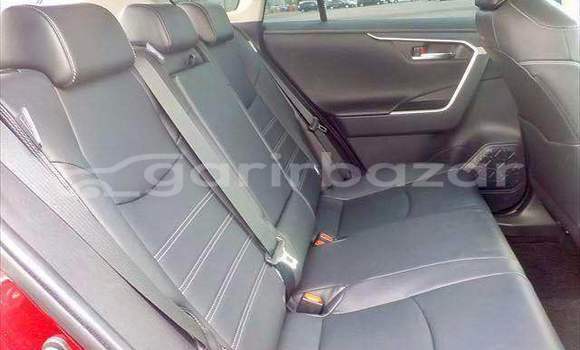 কেনা ব্যবহৃত Toyota RAV4 Red গাড়ী মধ্যে ঢাকা মধ্যে Dhaka কেনা ব্যবহৃত Toyota RAV4 Red গাড়ী মধ্যে ঢাকা মধ্যে Dhaka