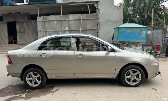 কেনা ব্যবহৃত Toyota G corola Other গাড়ী মধ্যে ঢাকা মধ্যে Dhaka কেনা ব্যবহৃত Toyota G corola Other গাড়ী মধ্যে ঢাকা মধ্যে Dhaka