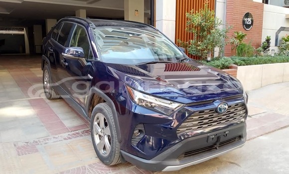 Buy Used 2019 Toyota RAV4 in Dhaka, Dhaka Buy Used 2019 Toyota RAV4 in Dhaka, Dhaka