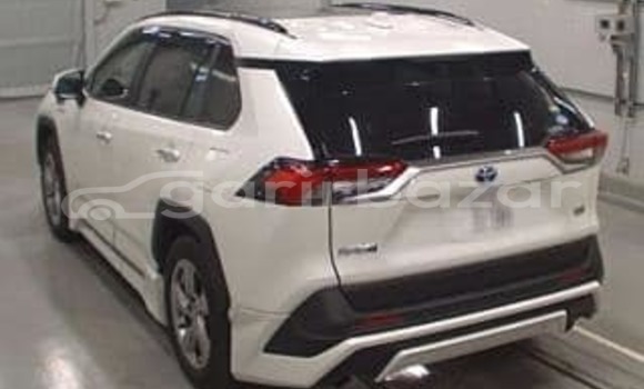 Buy Used 2019 Toyota RAV4 in Dhaka, Dhaka Buy Used 2019 Toyota RAV4 in Dhaka, Dhaka