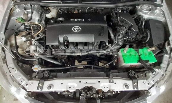 কেনা আমদানি Toyota Axio Grey গাড়ী মধ্যে ঢাকা মধ্যে Dhaka কেনা আমদানি Toyota Axio Grey গাড়ী মধ্যে ঢাকা মধ্যে Dhaka