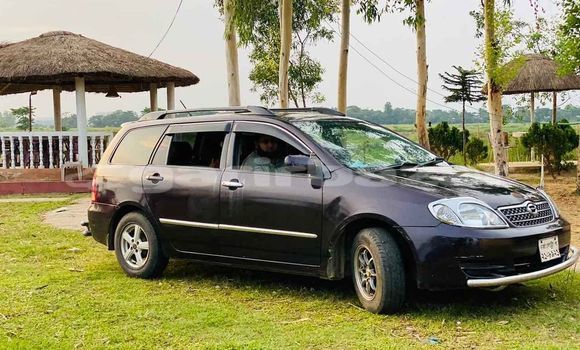 কেনা ব্যবহৃত Toyota Fielder Brown গাড়ী মধ্যে ঢাকা মধ্যে Dhaka কেনা ব্যবহৃত Toyota Fielder Brown গাড়ী মধ্যে ঢাকা মধ্যে Dhaka